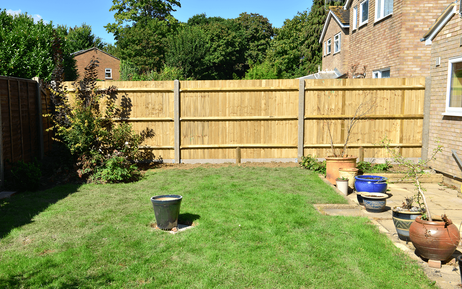 Ace Tree Landscaping Work