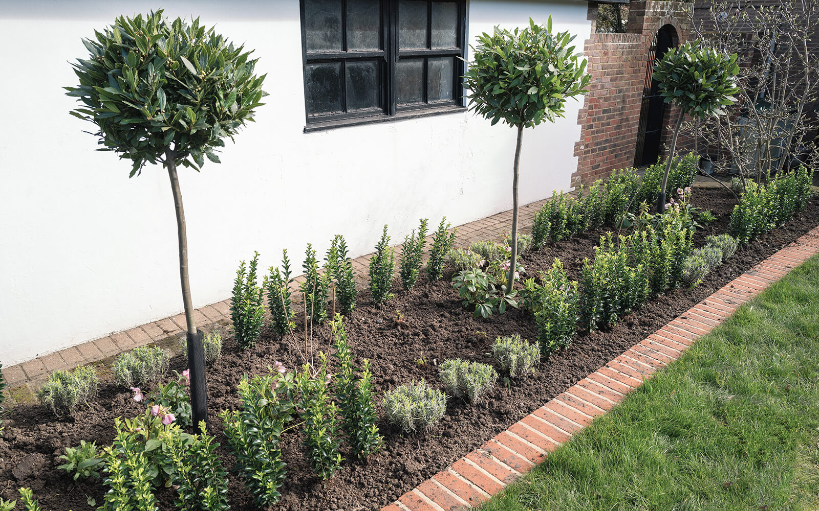 Ace Tree Landscaping Work