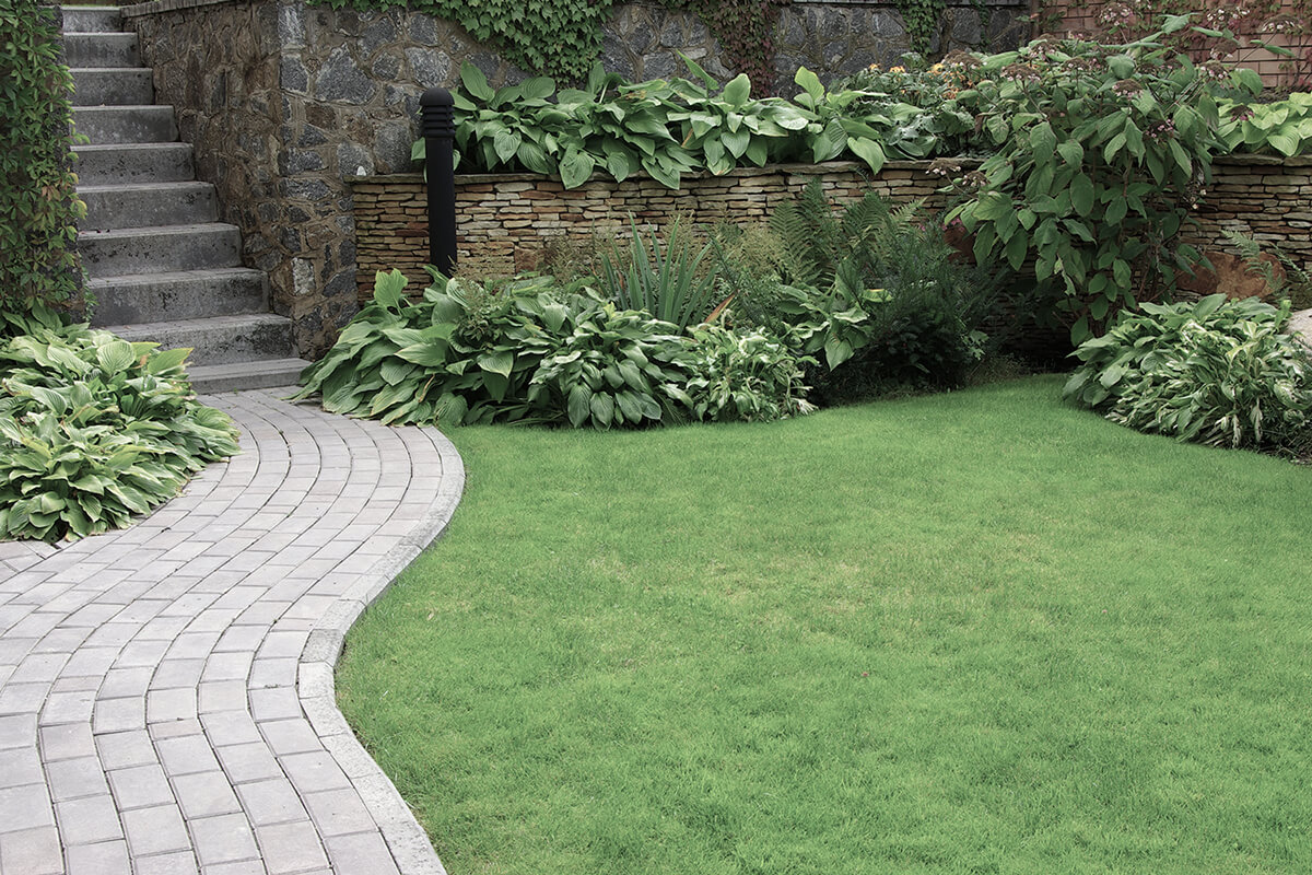 Welcome to Ace Tree Landscaping